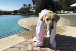 Nellie.Pool.SeaIsland