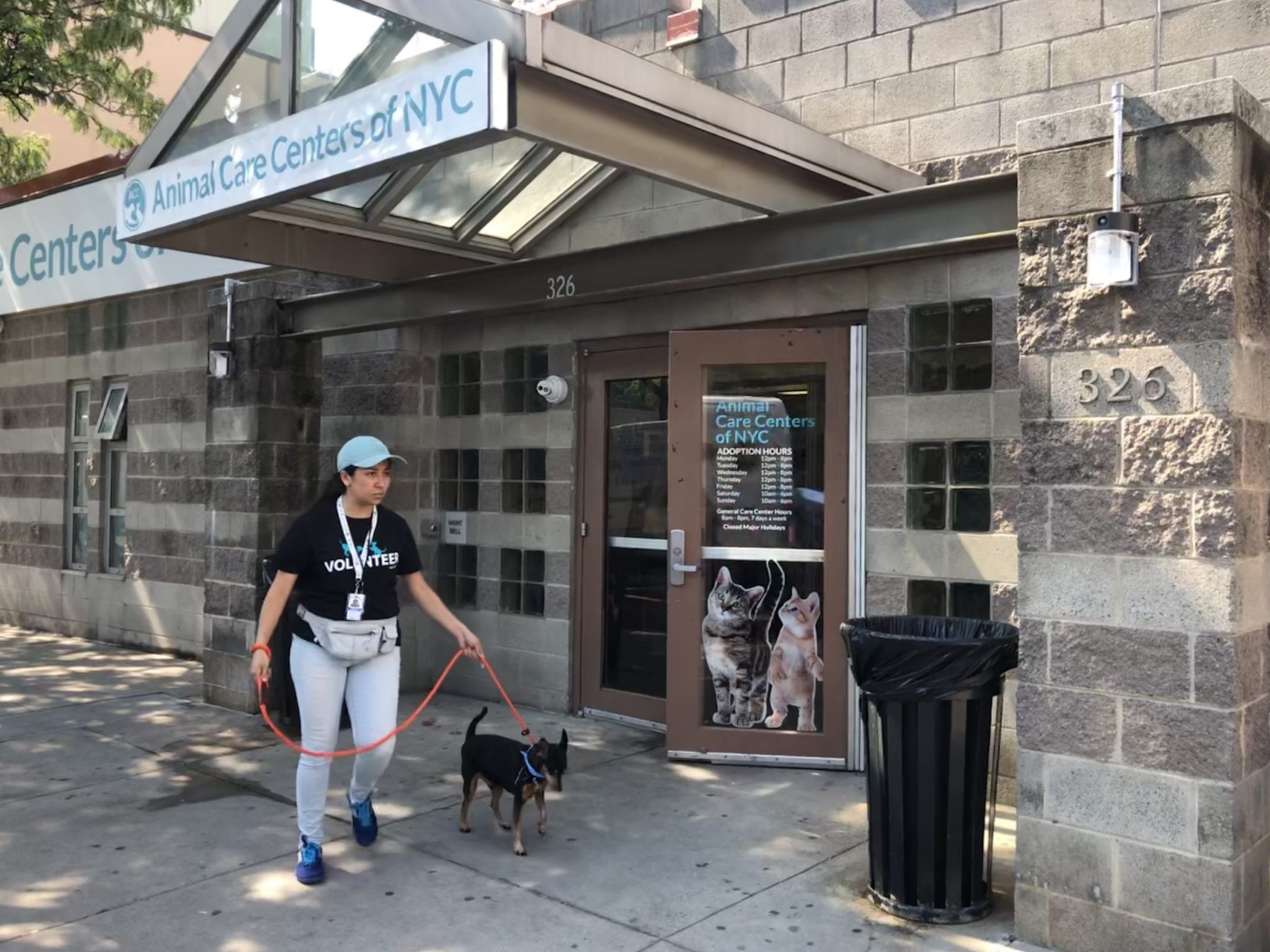 NYC Animal Care Center (NYCACC) | The Canine Review