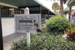 canine-review-kennels-palm-beach-acc-ext