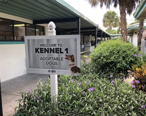 canine-review-kennels-palm-beach-acc-ext