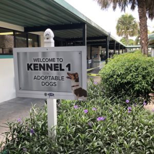 kennels ext palm beach acc