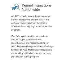 canine-review-akc marketplace screenshot promises guarantees