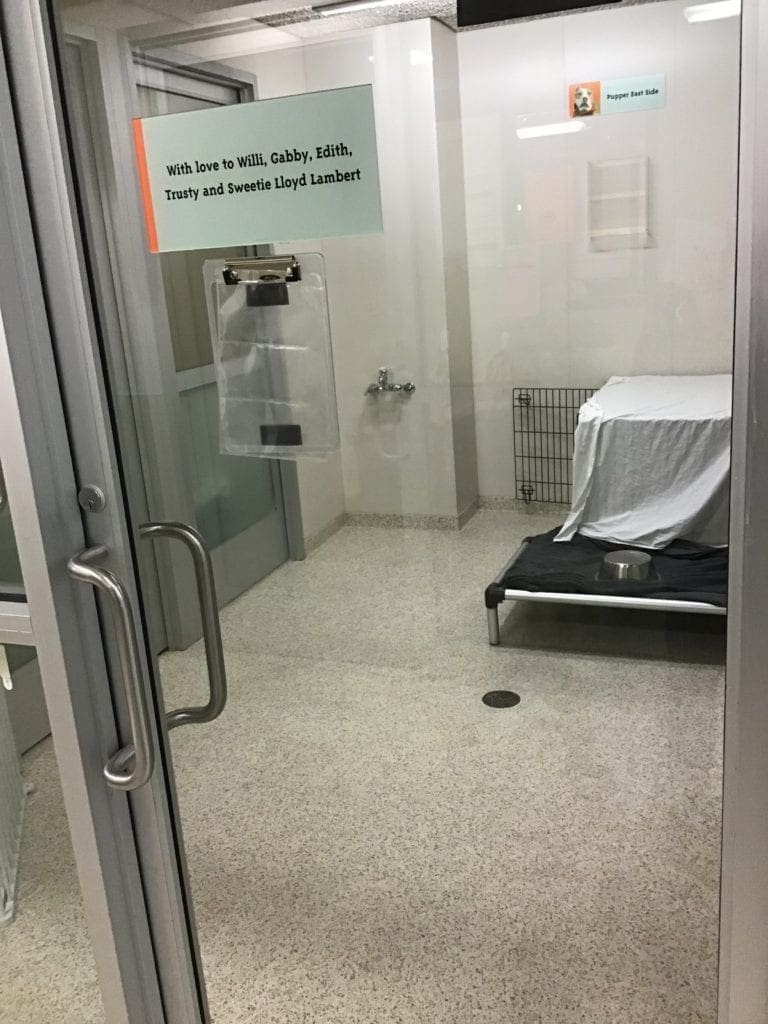 Back to Shelter Profiles