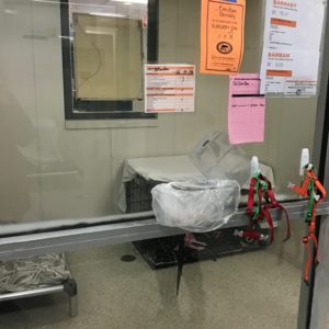 Dog Kennel at ASPCA Adoption Center