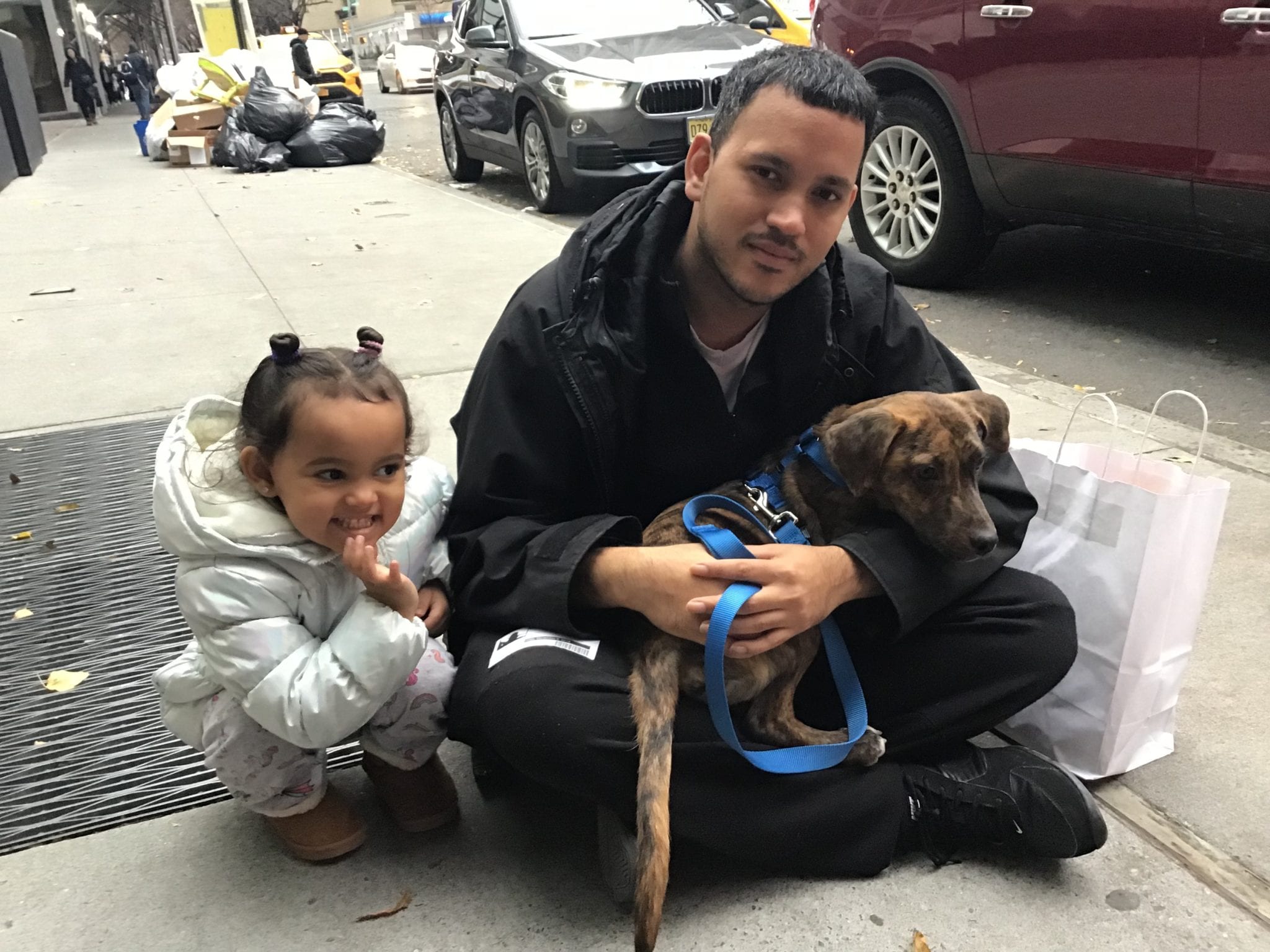 Aspca S New York City Adoption Center Updated The Canine Review