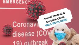 covid-hospital-closed-veterinarian