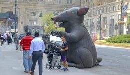 rat nyc park ave