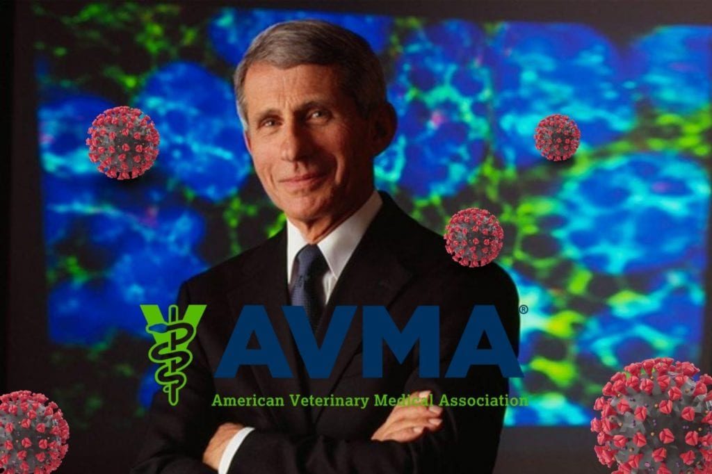 Dr. Anthony Fauci, photo credit: NIAID