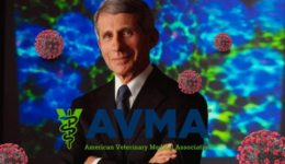 Dr. Anthony Fauci, photo credit: NIAID