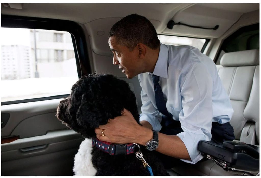 Bo and President Obama christmas shopping