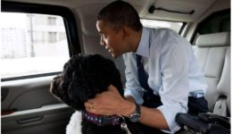 Bo and President Obama christmas shopping