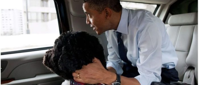 Bo and President Obama christmas shopping