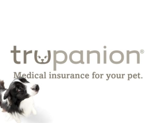 trupanion-featured