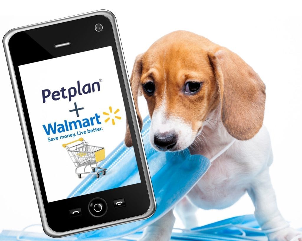 walmart petplan