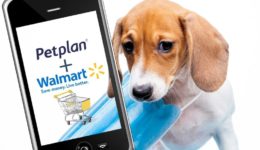 walmart petplan