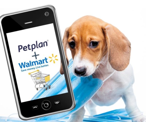 walmart petplan walmart petplan