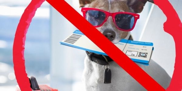 dog banned dog banned