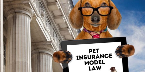 pet-insurance-model-law pet-insurance-model-law