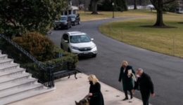 Champ and Major arriving at the White House