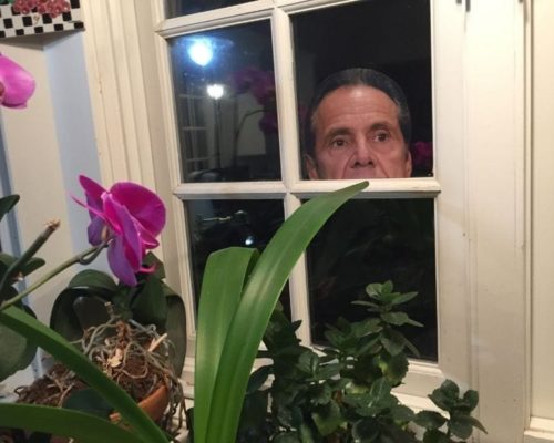 Peeping Cuomo Peeping Cuomo
