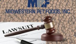 lawsuit gavel midwestern