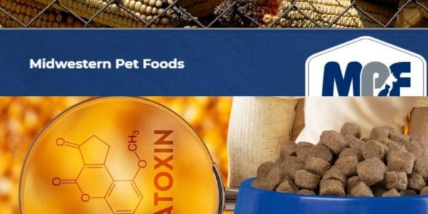 aflatoxin kibble