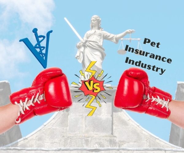 pet insurance vs vet lobby pet insurance vs vet lobby