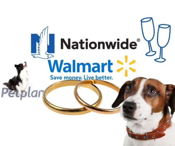 petplan.nationwide.walmart pet insurance