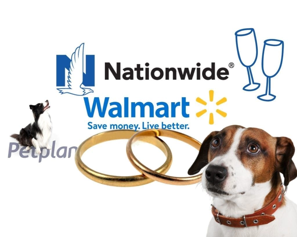 Walmart Goes Nationwide for Pet Insurance Leaving Its Own Partner