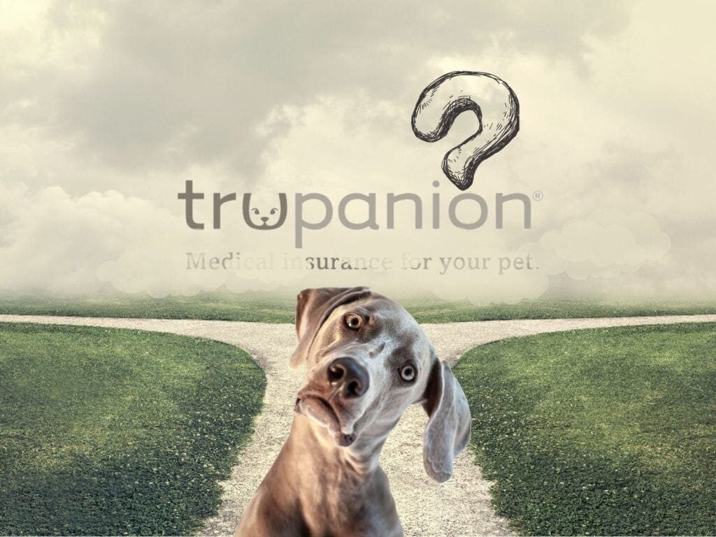 trupanion story