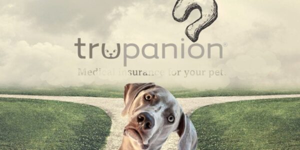 trupanion story