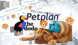 petplans plunge