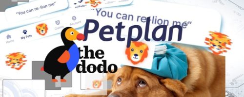 petplans plunge