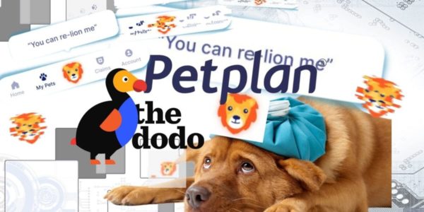 petplans plunge