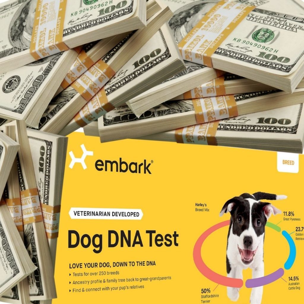 embark