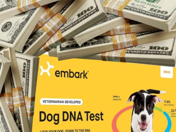 embark embark