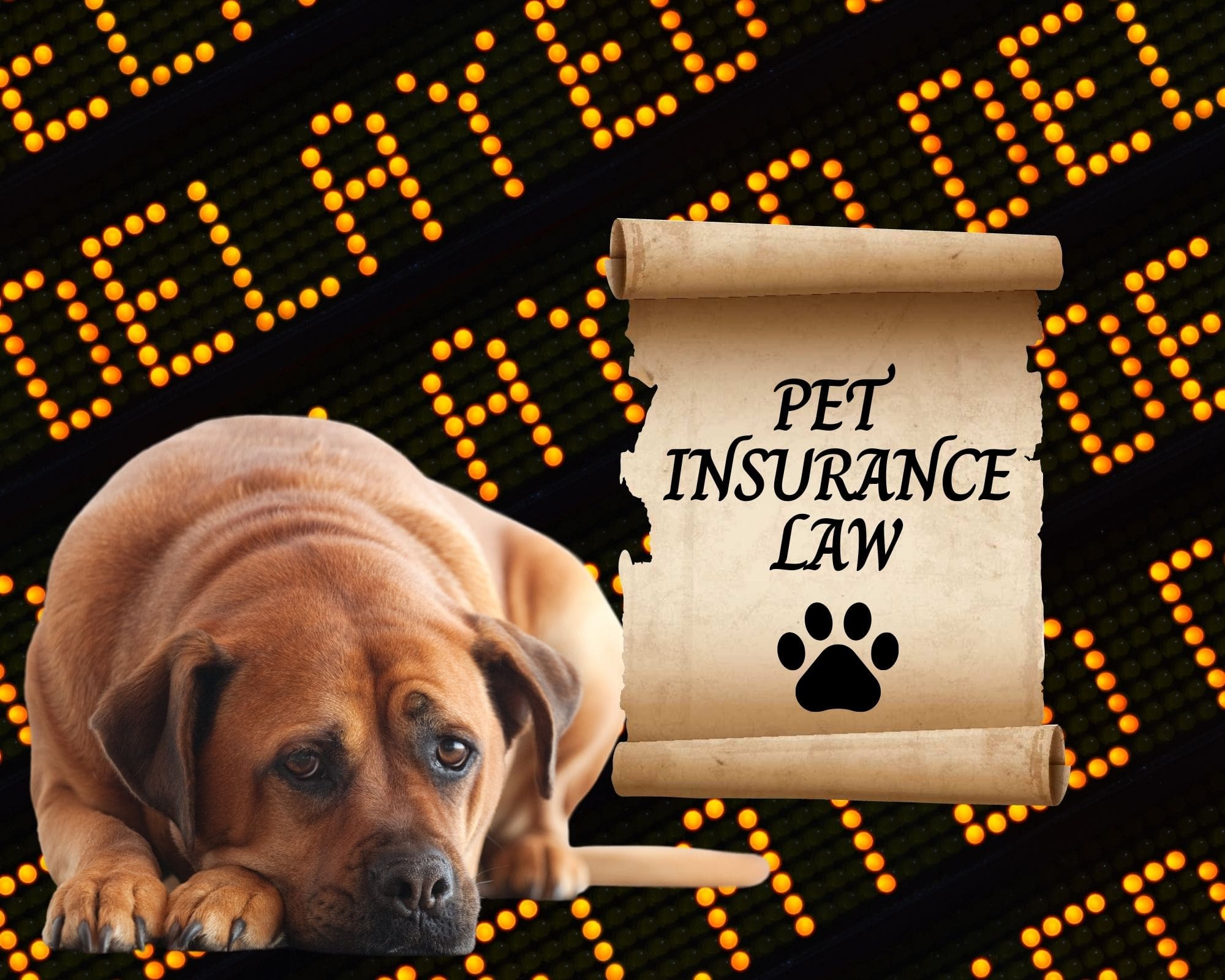 Pet-insurance-delay-image