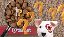 Target-Food-Mystery-Image