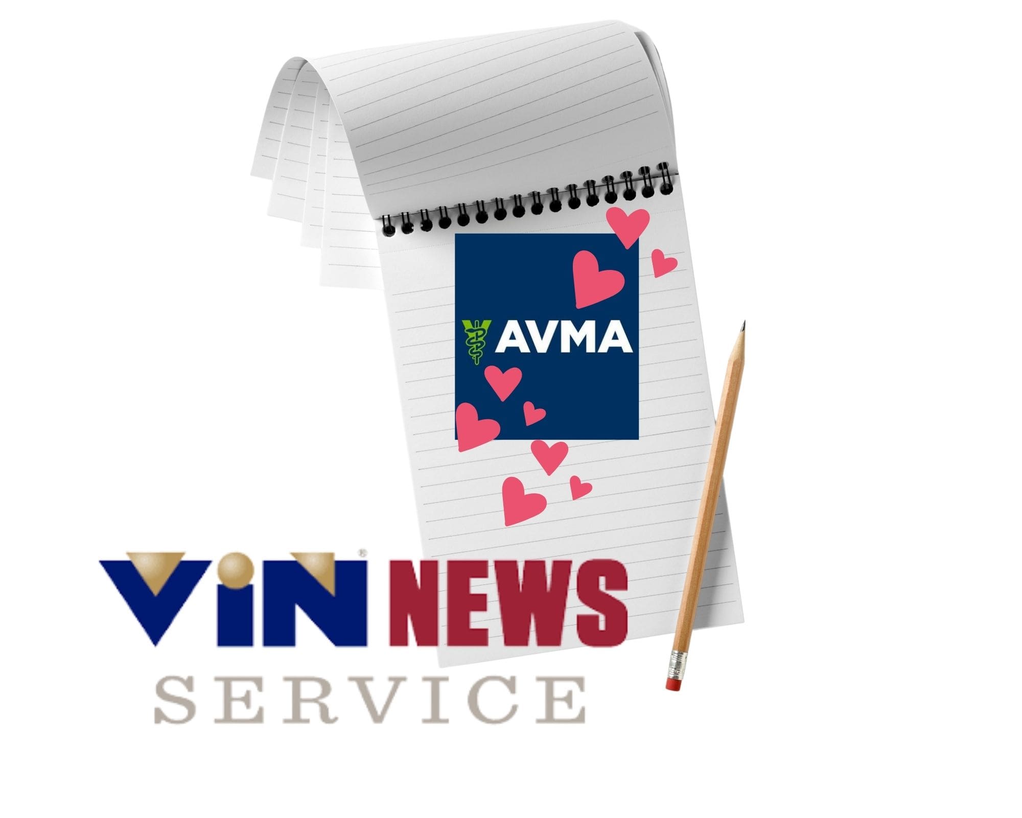 avma-vns cozy