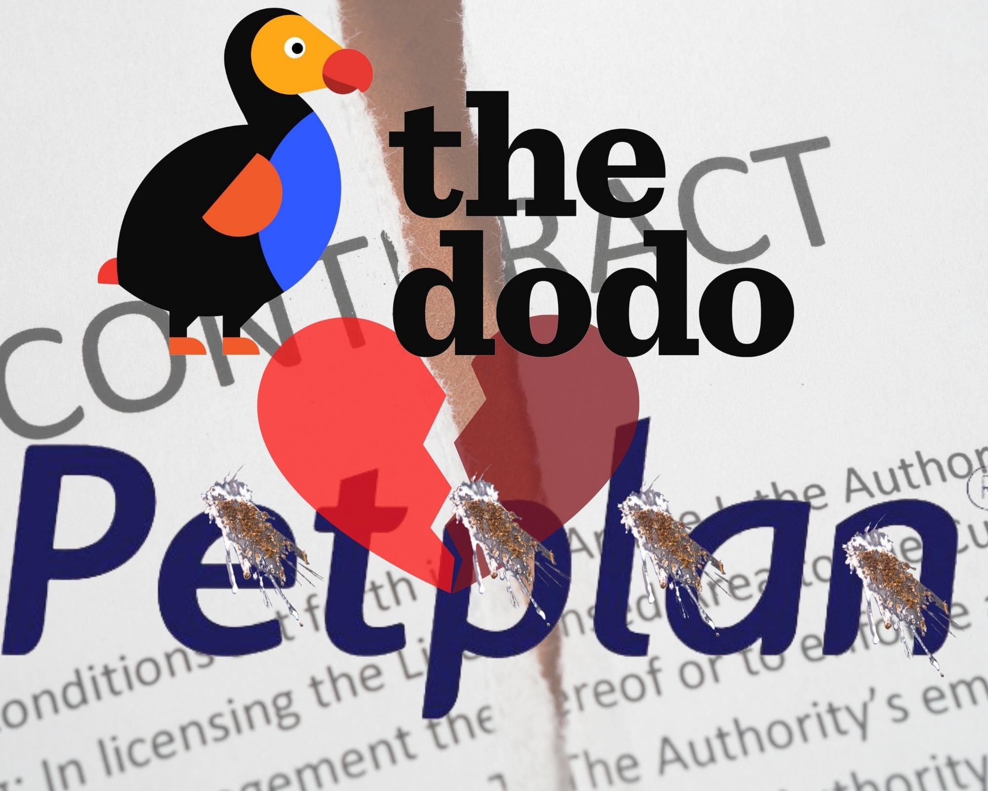 contractripdodopetplan