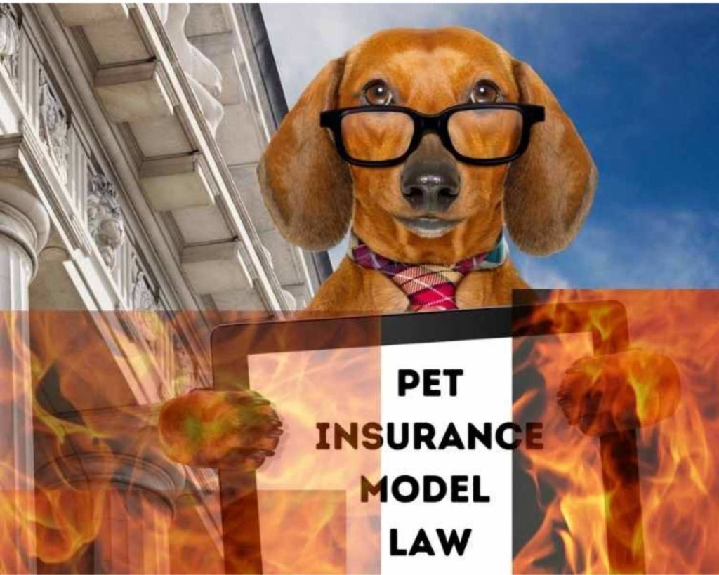 Pet Insurance Model Law Dropped