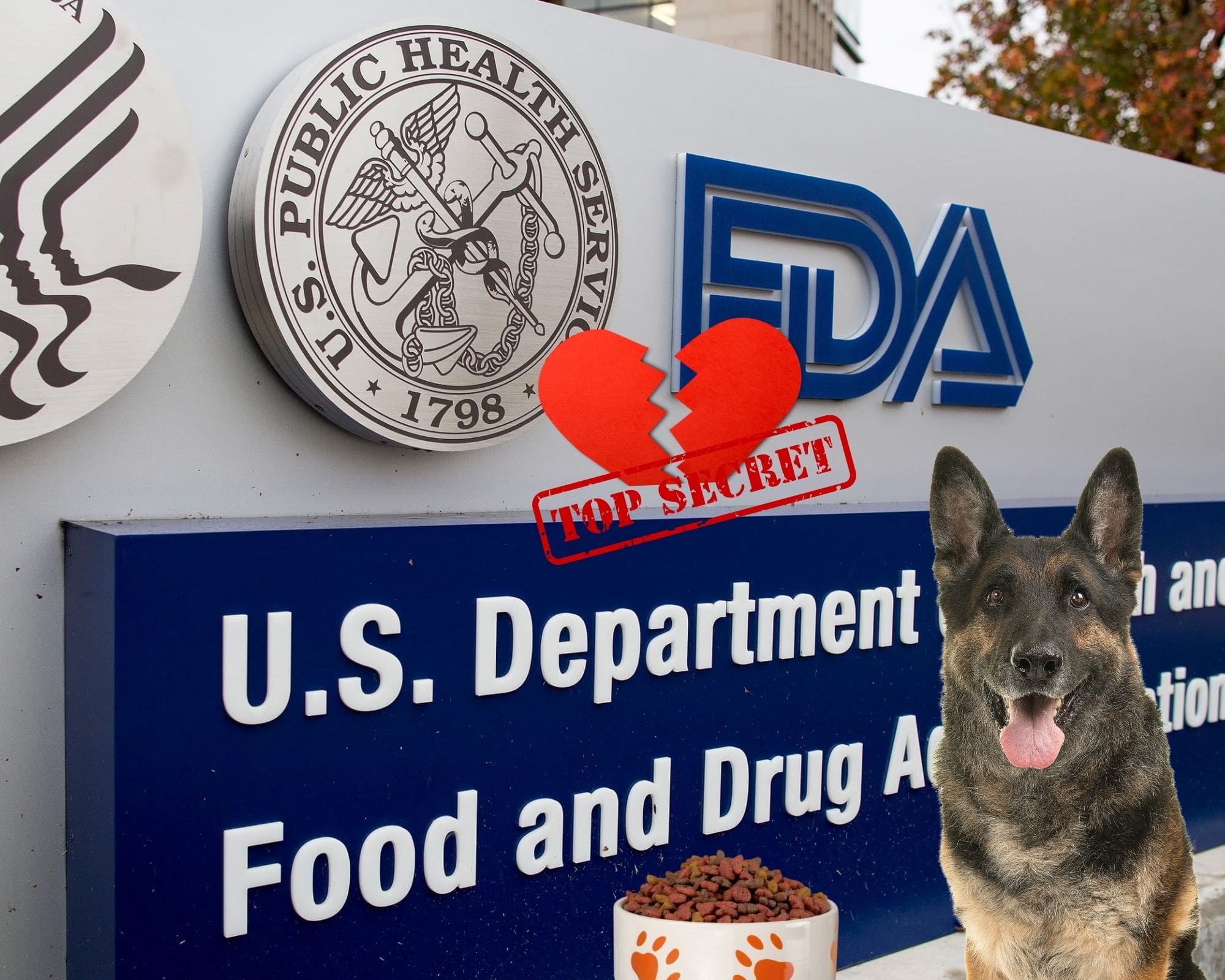 Us fda dog outlet food