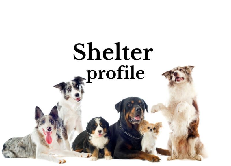 Shelter Profile