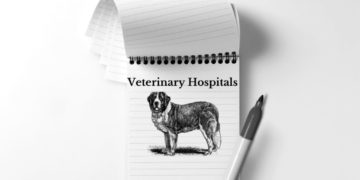 Vet Hospital Profile database