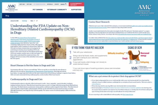 AMC Blog on FDA DCM update - The Canine Review