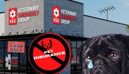 veg-vet-no-insurance-tcr