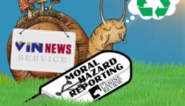 VIN moral hazard reporting recycled