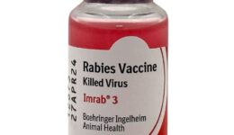 rabies vaccine